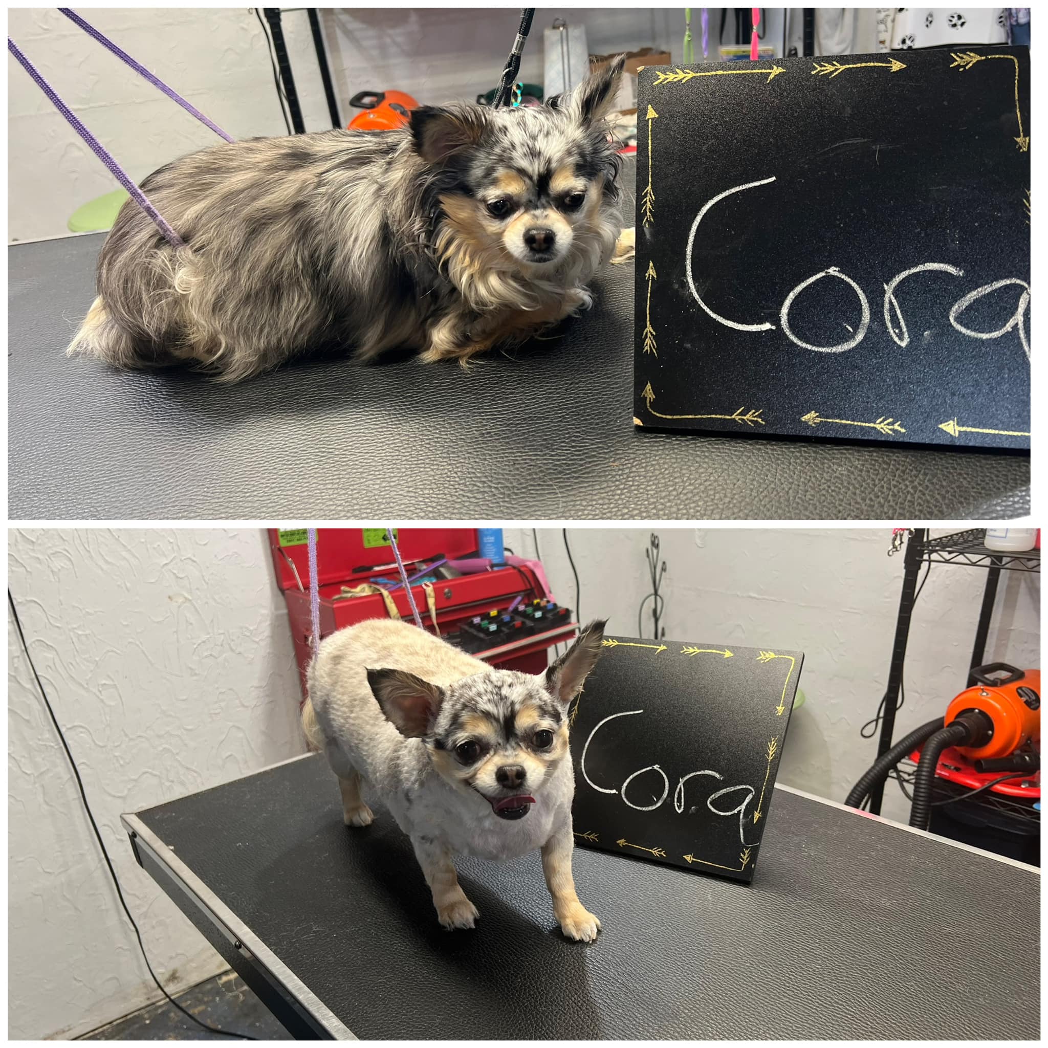 Cora after her groom