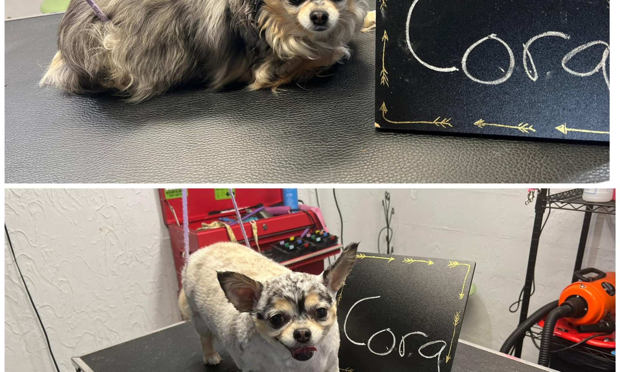 Cora after her groom