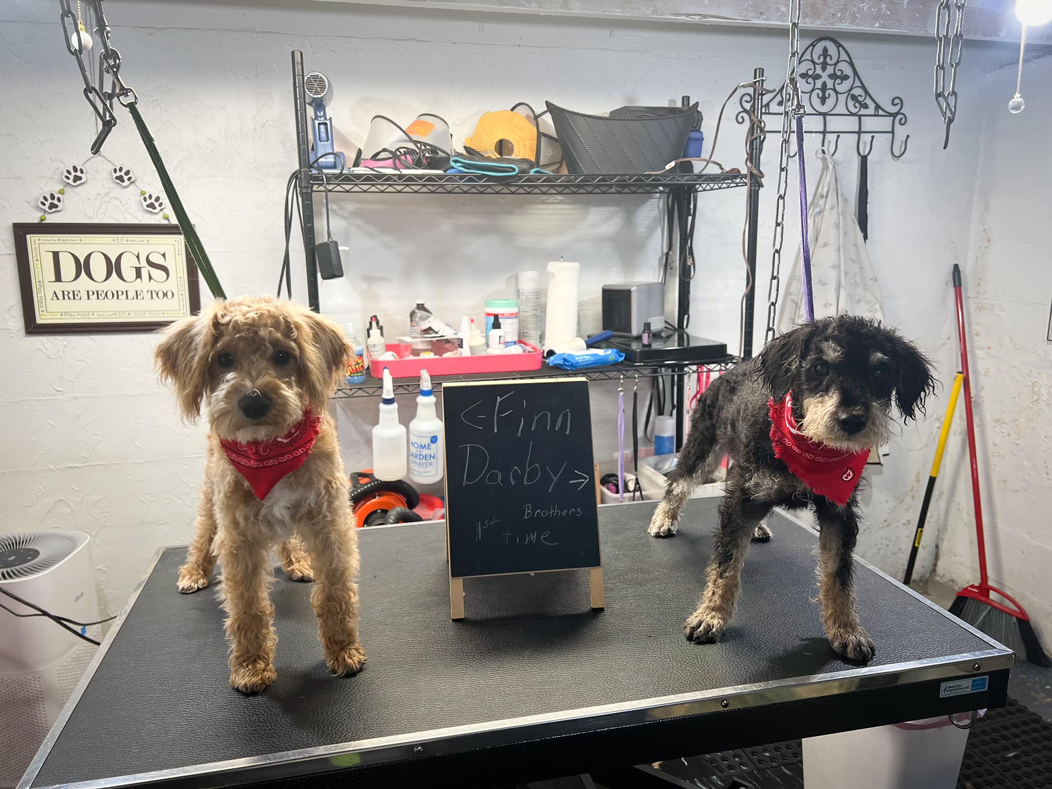 Finn and Darby after their groom